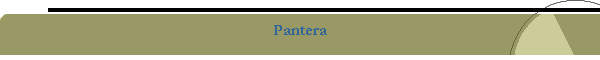 Pantera